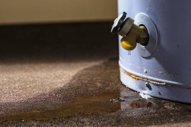 Trusted Ridgecrest, FL Water damage restoration Experts