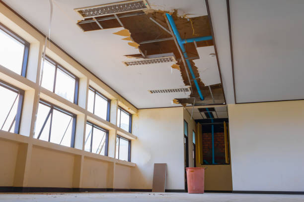 Best Local water damage restoration  in Ridgecrest, FL