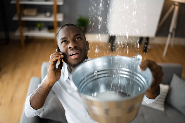 Best Water damage restoration near me  in Ridgecrest, FL