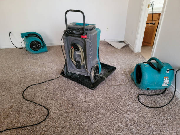 Best Residential water damage restoration  in Ridgecrest, FL