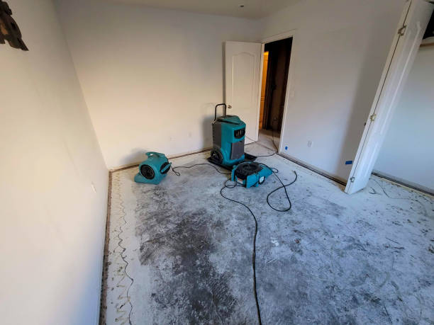 Best Professional water damage repair  in Ridgecrest, FL
