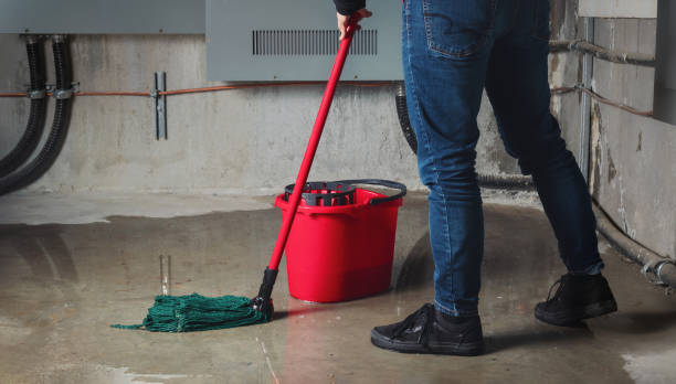 Best Sewage cleanup and water damage restoration  in Ridgecrest, FL