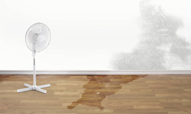 Best 24/7 water damage repair  in Ridgecrest, FL