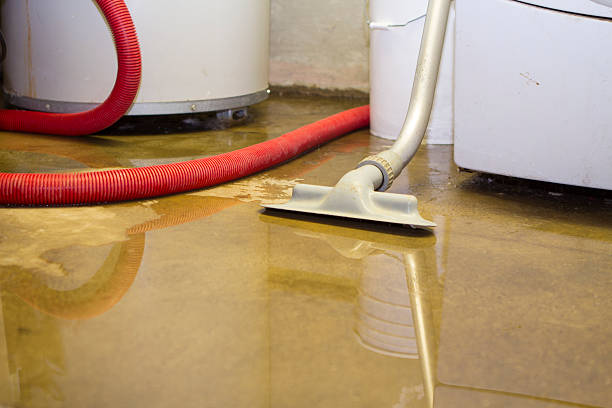 Best Water damage mitigation services  in Ridgecrest, FL