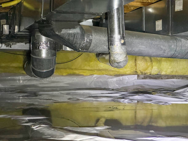 Best Ceiling water damage repair  in Ridgecrest, FL