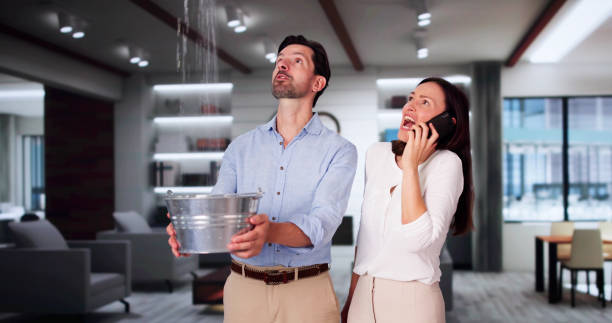Best Flood damage cleanup  in Ridgecrest, FL